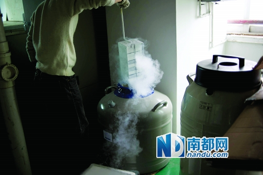 <p>&nbsp;&nbsp;&nbsp;&nbsp;市二醫(yī)院，從患者血液中分離出的免疫細(xì)胞被存儲(chǔ)在液氮罐里。</p>