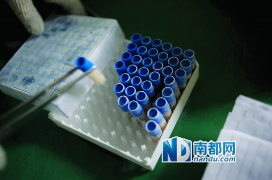 <p>&nbsp;&nbsp;&nbsp;&nbsp;當(dāng)患者實(shí)施治療時(shí)，會(huì)提前14天通知實(shí)驗(yàn)室，實(shí)驗(yàn)員取出液氮罐里儲(chǔ)存的免疫細(xì)胞樣本進(jìn)行培養(yǎng)。</p>